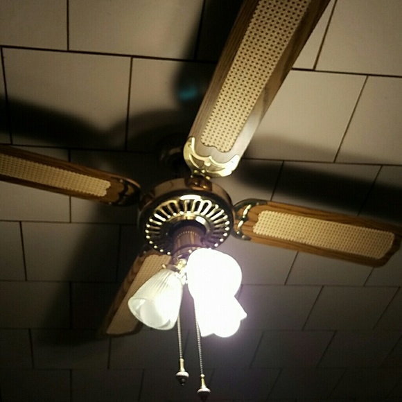 Meet your Posher, Aretha - Picture 1 of 1