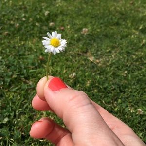 Meet your Posher, Lindsay