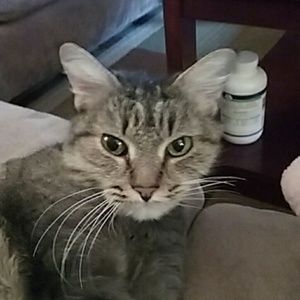 Meet your Posher, Susan