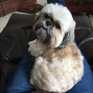 Meet your Posher, Heather