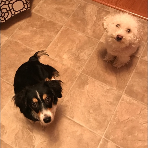 WELCOME & ABOUT ME - Picture 6 of 6