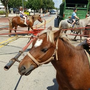 Meet your Posher, Melissa