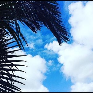 Meet your Posher, Oshea