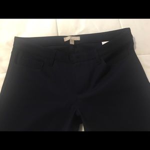 Banana Republic Navy Blue Skinny Pants