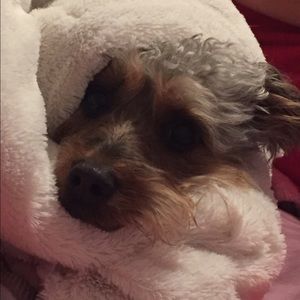 Meet your Posher, Erin