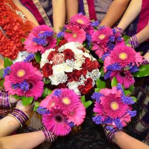 Meet your Posher, Shelley