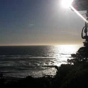 Meet your Posher, Connie