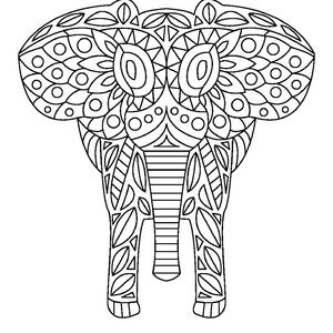 Meet your Posher, Sasha