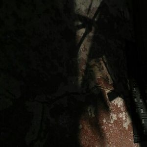 Meet your Posher, Leola