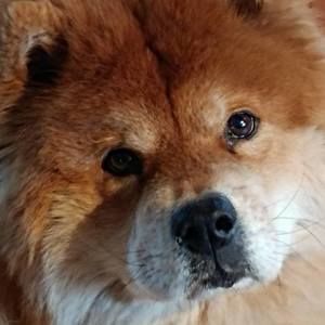 Meet your Posher, Anne