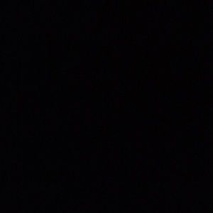 Meet your Posher, Maya