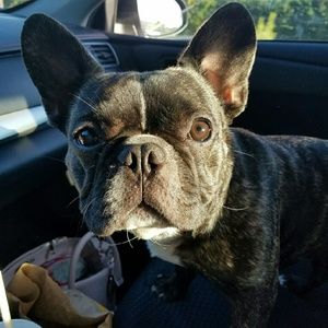 Meet your Posher, Angela