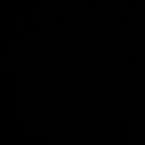 Meet your Posher, Paige