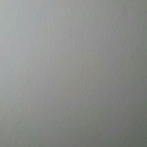 Meet your Posher, Ely