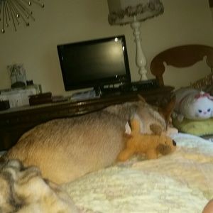 Meet your Posher, Patricia