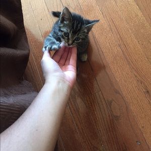 Meet your Posher, Ana