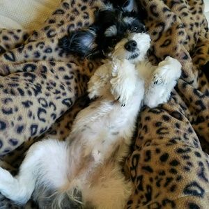 Meet your Posher, Allison