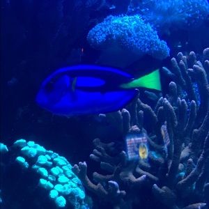 Meet your Posher, Brandi