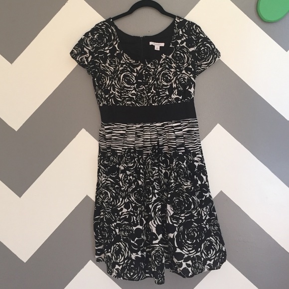 Dressbarn Dress 👗