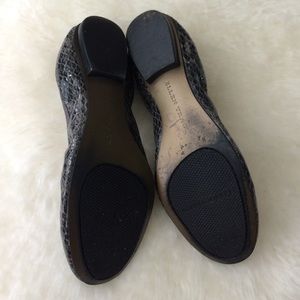 Ellen Tracy Shoes - Gray snakeskin embellished ballet flats Ellen Tracy Shoes - Gray snakeskin embellished ballet flats
