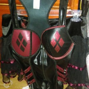 Harley quinn costume