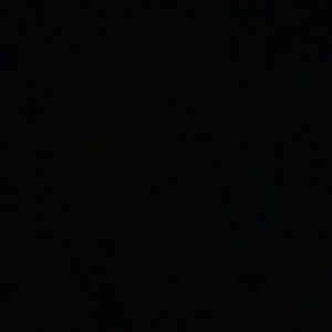 Meet your Posher, Sandy