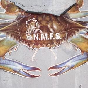 Meet your Posher, Cathie