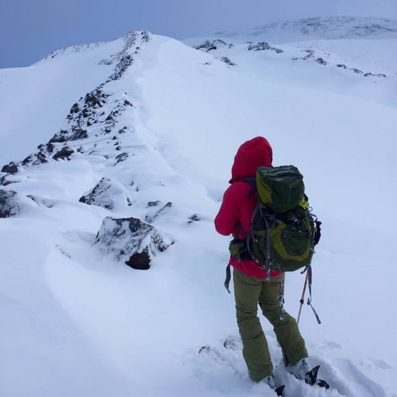 Meet your Posher, Anne