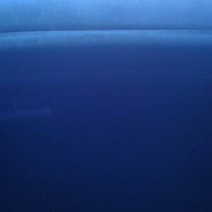 Meet your Posher, Nichole