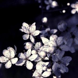 Meet your Posher, Rui