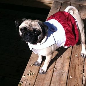 Meet your Posher, Marion