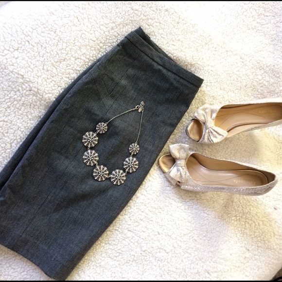 Express Work Skirt