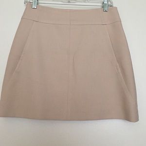 Ann Taylor Skirt