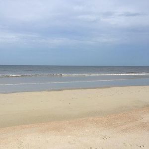 Meet your Posher, Ash