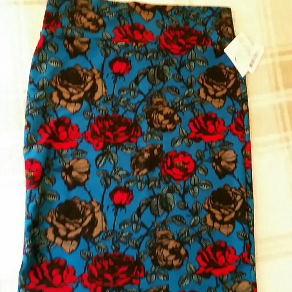 Beautiful Lularoe Cassie
