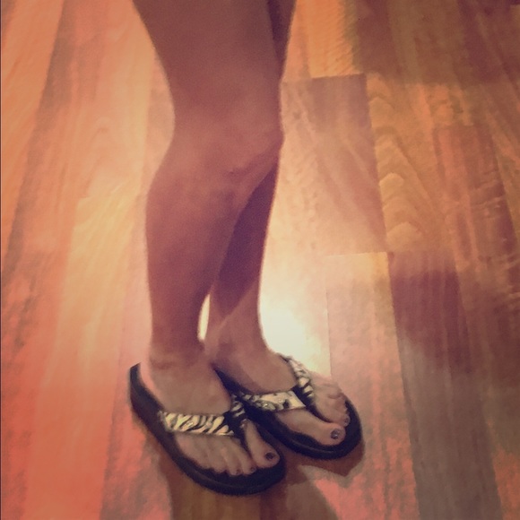 Zebra print volatile with stones.