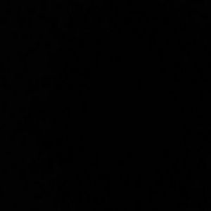 Meet your Posher, Brody