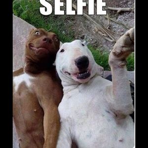 Meet your Posher, Carrie