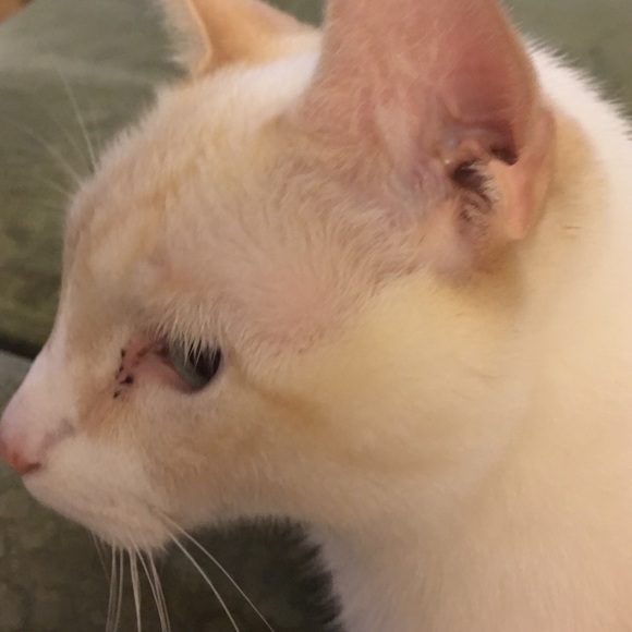 Meet your Posher, Riana - Picture 1 of 1