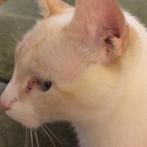 Meet your Posher, Riana