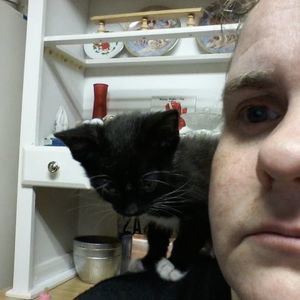 Meet your Posher, Donna