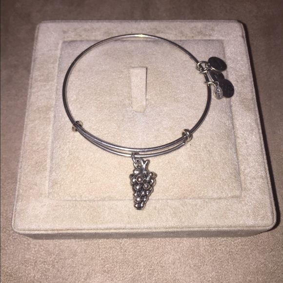 ALEX AND ANI