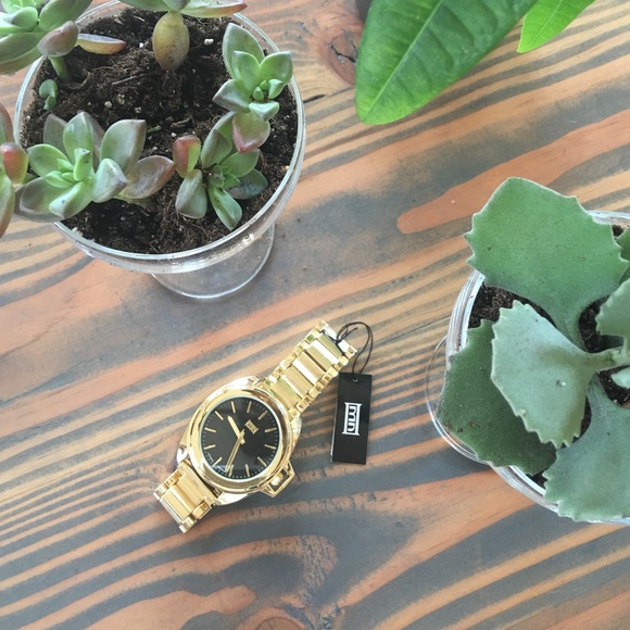 NWT Watch