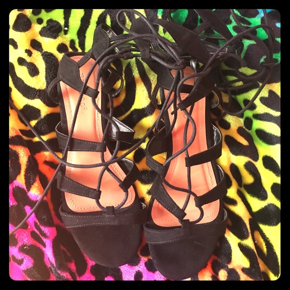 Gladiators - Picture 1 of 1