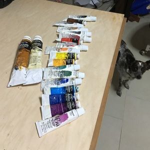 Water Mixable Oil Paint Bundle