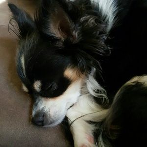 Meet your Posher, Ellie