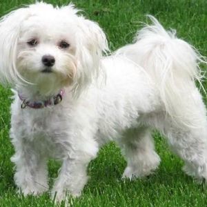 Meet your Posher, Ivette