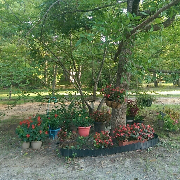 Meet your Posher, Joy - Picture 1 of 1