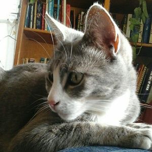 Meet your Posher, Kathy