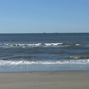 Meet your Posher, Meagan